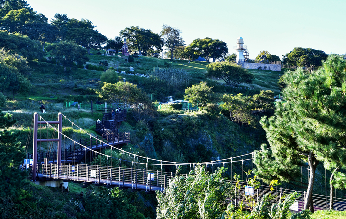 울진 후포 등기산 공원. 바람에 흔들리는 해송 사이를 걷다 보면 파도 소리가 시간의 저편에서 길어 올린 기억처럼 들려온다.