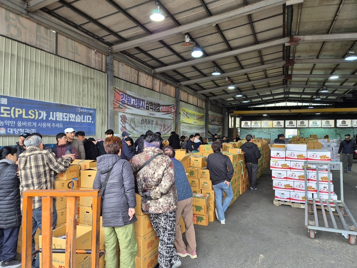 12일 오후 3시쯤 대구 북구 매천시장은 지역 유통업체 부도설로 뒤숭숭한 분위기였다. 경매가 진행되는 와중에도 일부 상인은 걱정스러운 표정으로 부도설에 대한 대화를 나누기도 했다. 이승엽 기자