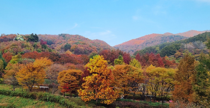 예찬곤충생태원. <예천군 제공>
