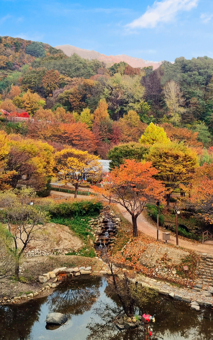 예천곤충샌태원 <예천군 제공>