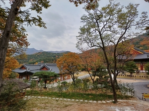 고(故) 안영주 교수가 기증한 터에 자리한 팔공산 도림사 전경