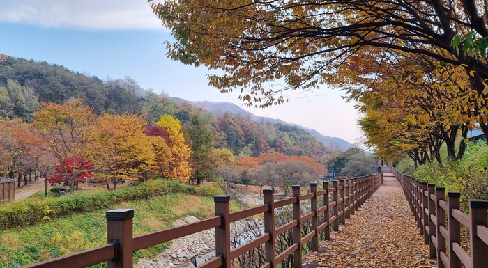 예천곤충생태원 <예천군 제공>