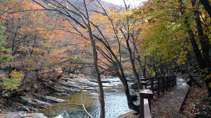 호박소 계곡은 여름 피서지로, 가을 단풍으로 유명하다. 계곡 따라 호박소까지 나무 데크 길이 조성되어 있다.