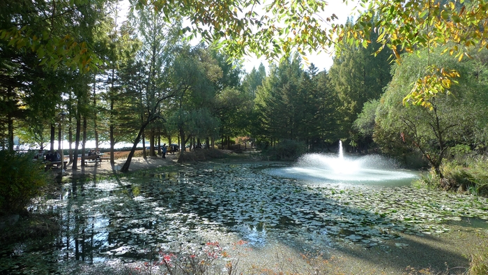 낙강물길공원. 안동댐 아래에 숨은 듯 자리한 아름다운 공원으로 사람들은 비밀의 숲이라 부른다.