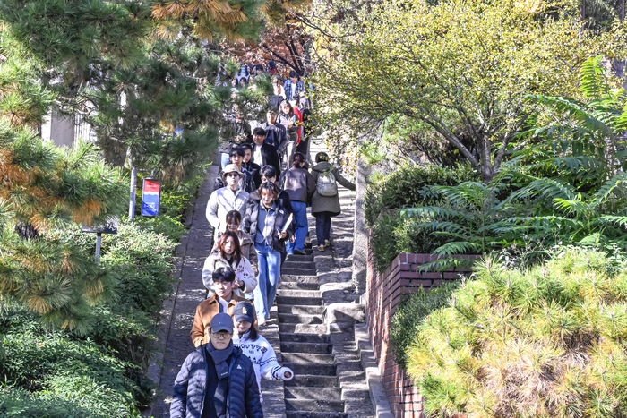 지난 15일 대구 중구 3·1만세운동길에서 달빛소나기 참가자들이 계단길을 걸으며 탐방을 이어가고 있다. 이현덕기자 lhd@yeongnam.com