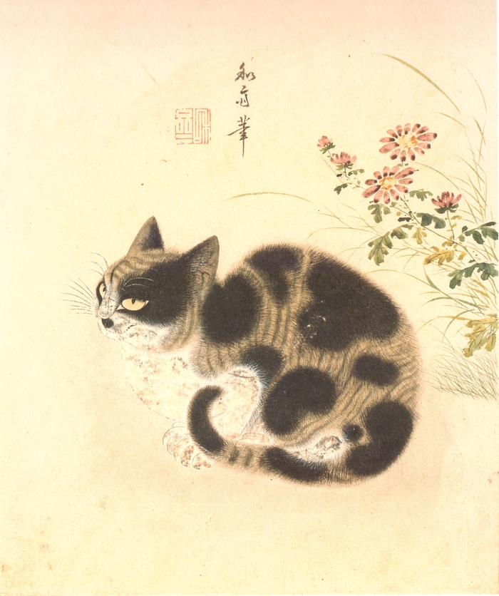 변상벽, 패랭이꽃 아래 고양이, 종이에 채색, 29.5×22.6cm, 간송미술관 소장