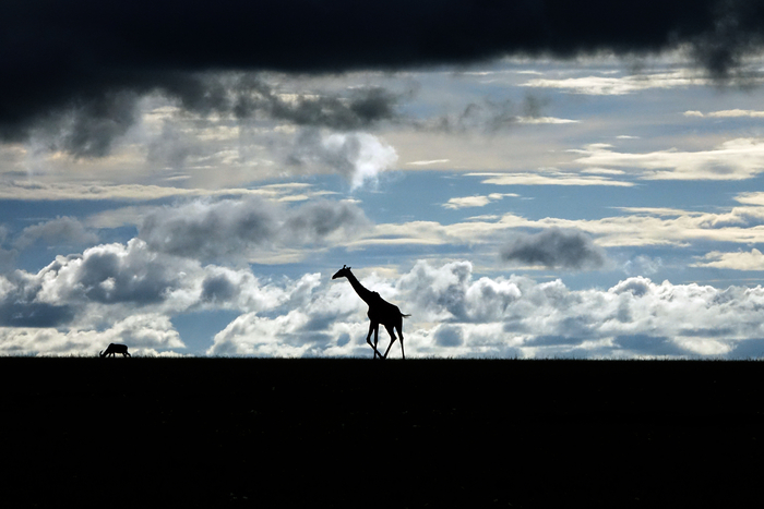 박진관 기자의 작품