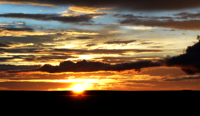 박진관 기자의 작품