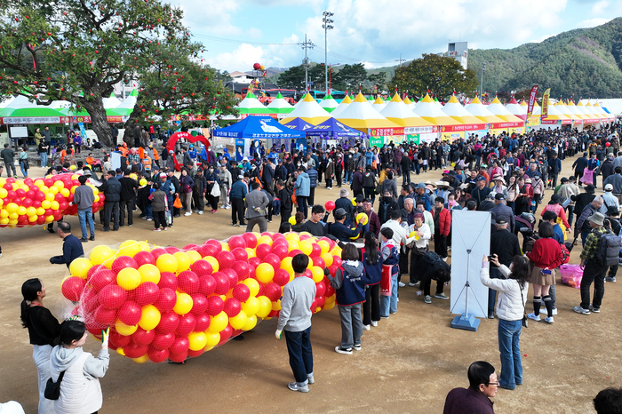 지난달 29일부터 열린 제19회 청송사과축제 현장 모습<청송군 제공>