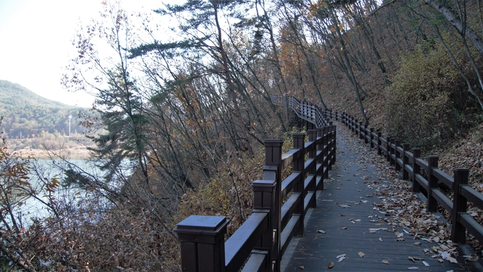 용두교 건너 섬의 옆구리를 안고 가는 평탄한 데크 길. 용두교에서 섬의 남쪽 끝까지는 1㎞가 조금 넘는다.