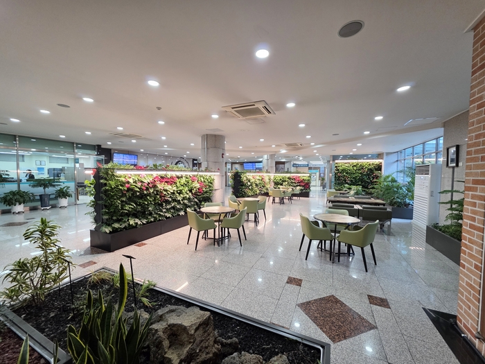 대구의료원 국화원 장례식장 로비 전경. 실내 곳곳에 식재된 녹지와 개방형 좌석 배치로 장례식장의 어두운 이미지를 개선한 밝고 따뜻한 공간이 조성돼 있다.<대구의료원 제공>