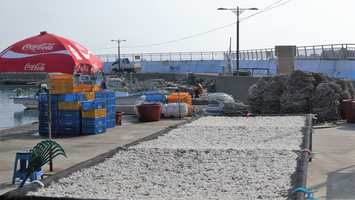 덕장의 뽀얀 멸치가 빛과 바람 속에 있다. 월내포구의 특산물은 다시마, 미역, 젓갈, 멸치다. 월내 멸치 후리는 소리가 전해질 만큼 멸치가 으뜸이라 한다.