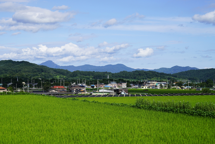 쓸데없이 눈부신 게 세상에는 있어요는 고향 경북 예천으로 돌아온 안도현 시인이 혼자만의 시간을 보내며 쓴 시들이 담겼다. 사진은 예천 용문면의 한 마을 풍경. <게티이미지뱅크>