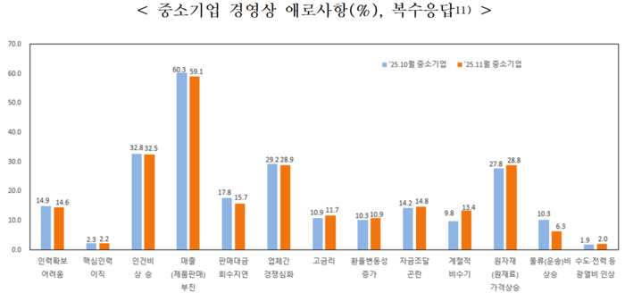 중소기업 경영상 애로사항(복수응답). <중기중앙회 제공>