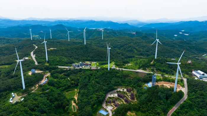 영덕군은 육상·해상 풍력과 태양광 등을 포함한 신재생에너지 프로젝트를 통해 3대 미래전략을 본격화 하고 있다. 사진은 영덕 창포 풍력발전 단지 (영덕군 제공)