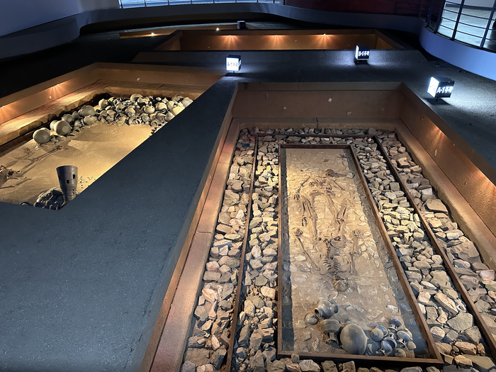 조문국고분전시관에선 조문국이 존재하던 당시의 매장 풍습을 엿볼 수 있다.