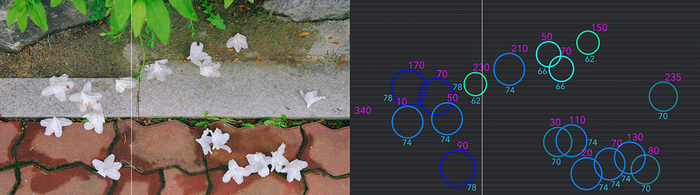 윤지영 파동하는 이미지_철쭉