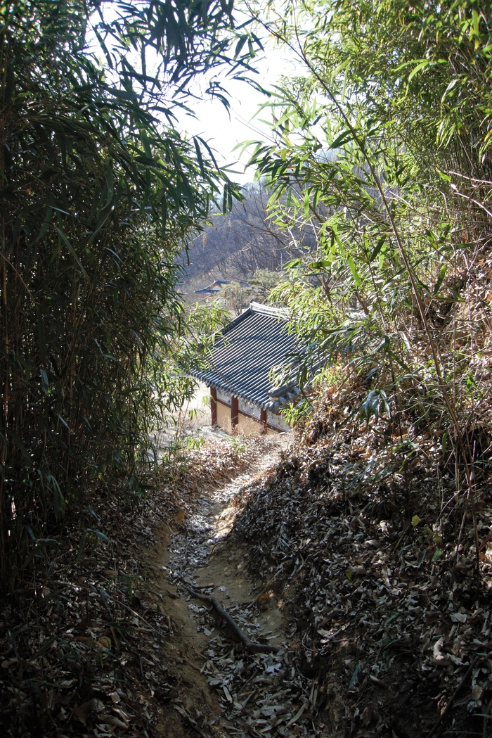 산신각에서 내려오는 대밭에서 명부전이 열린다. 명부전은 경북 유형문화재다. 영조 때의 중건기가 남아 있으며 내외 벽화는 높이 평가되고 있다.