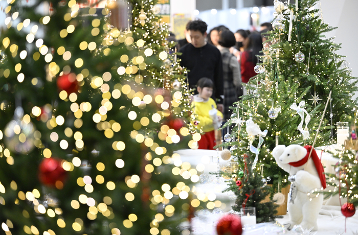 [포토뉴스] 크리스마스트리 살펴보는 대구시민