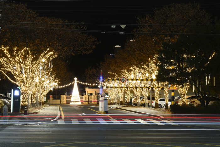 대구 달성군 화원읍 Re:화원 도시숲 진입로가 크리스마스 조명으로 환하게 밝혀져 있다.<달성군 제공>