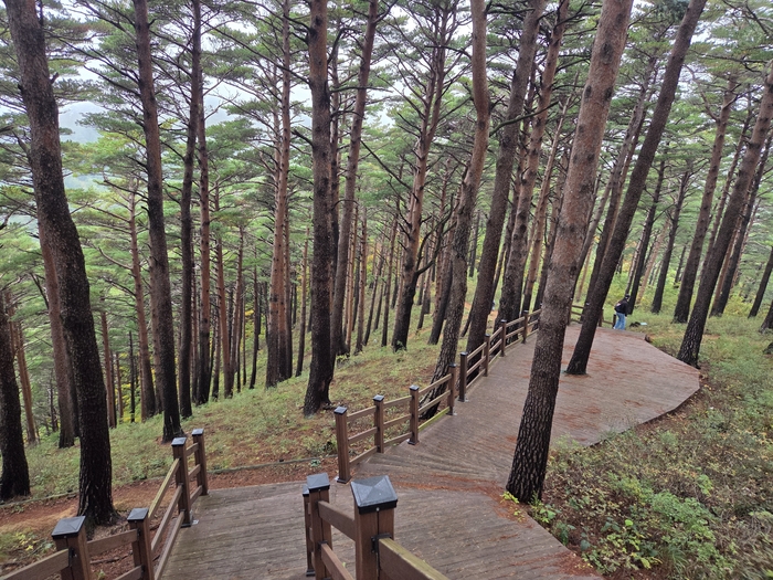 대통령 쉼터에서 풍욕대 가는길. 바람으로 목욕한다는 의미를 지닌 곳이다.