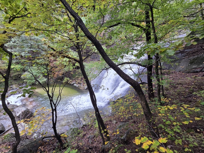 대관령 소나무숲길의 삼단 폭포. 계곡이 아름다워 선녀들이 아들을 데리고 내려와 목욕하고 놀다 하늘로 올라간다는 설화가 전해진다.