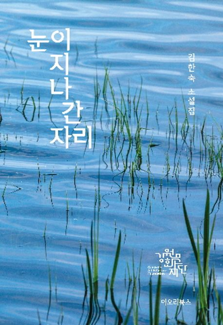 김한숙 소설가의 첫 소설집 눈이 지나간 자리. <이오리북스 제공>