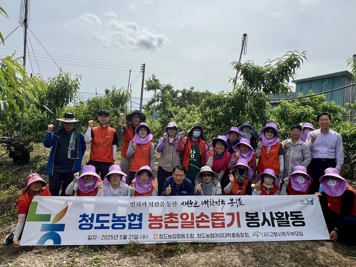 청도농협 임직원과 청도농협 여성대학 총동창회 회원들이 감농가에서 농촌일손돕기 봉사활동을 한 뒤 단체기념촬영을 하고 있다. <청도농협 제공>