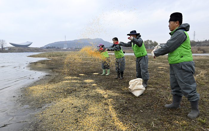 [포토뉴스] 달성습지에서 철새 먹이주는 시민구조봉사단