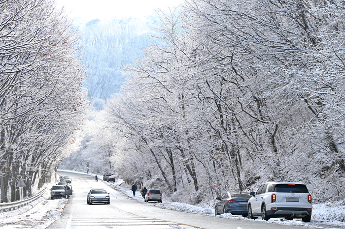 눈이 내린 대구 팔공산이 아름다운 설경을 연출하고 있다. 대구지방기상청에 따르면 지난 13일 팔공산에 2.4cm의 눈이 내리면서 한국의 아름다운 길로 선정된 한티재 길 주변 나뭇가지마다 눈꽃이 피어 나들이 나온 시민들의 시선을 사로잡고 있다.
이지용기자 sajahu@yeongnam.com