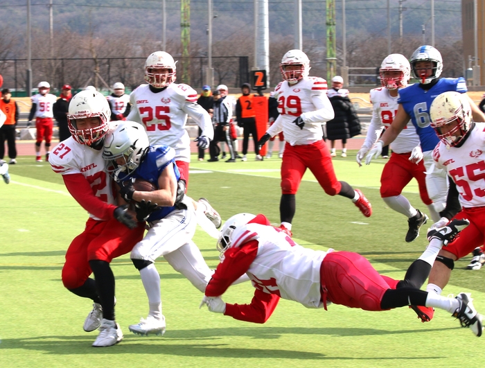지난 14일 군위 미식축구경기장에서 열린 군위 피닉스와 삼성 블루스톰의 결승전에서 삼성 불루스톰의 러닝백 배준호가 몸을 날리면서 군위 피닉스의 수비수와 충돌하고 있다. <박경규 경북대 미식축구부 감독 제공>