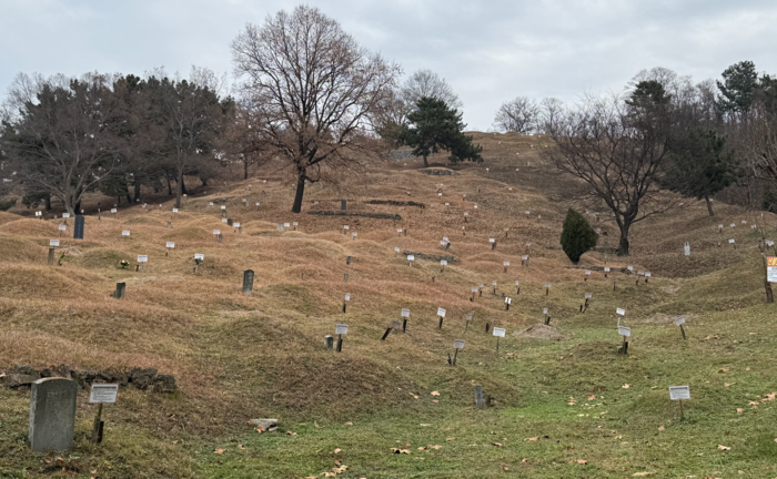 16일 오전 찾은 대구 성서공동묘지. 장기공원 부지의 약 30%를 차지하고 있는 데다 산업단지와 주거지 사이에 위치해 있어 그간 정비사업의 필요성이 꾸준히 제기돼 왔다. 구경모기자
