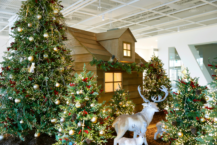 대구미술관에 설치된 크리스마스 트리의 모습.<대구문화예술진흥원 제공>