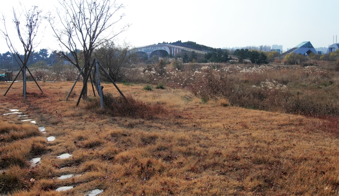 부산현대미술관 동편에 갈대밭이 펼쳐져 있다. 도로 위 다리는 남쪽의 을숙도철새공원과 연결되는 사람과 동물의 통로다.