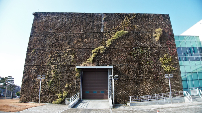 부산현대미술관 측면의 수직정원. 175종의 토종, 토착 식물 4만 4천여 포트가 식재되어 있는 겨울 정원에 까치와 까마귀가 날아든다.