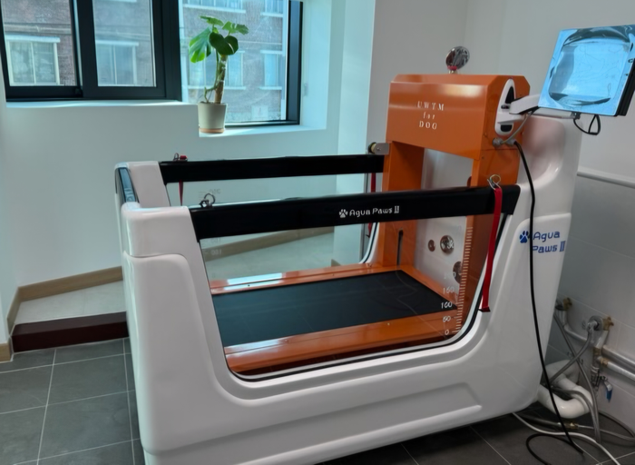 내년 1월 개장을 앞둔 대구 북구 관음동물사랑교육센터 2층 반려동물재활센터에 설치된 수중 트레드밀. 북구청 제공