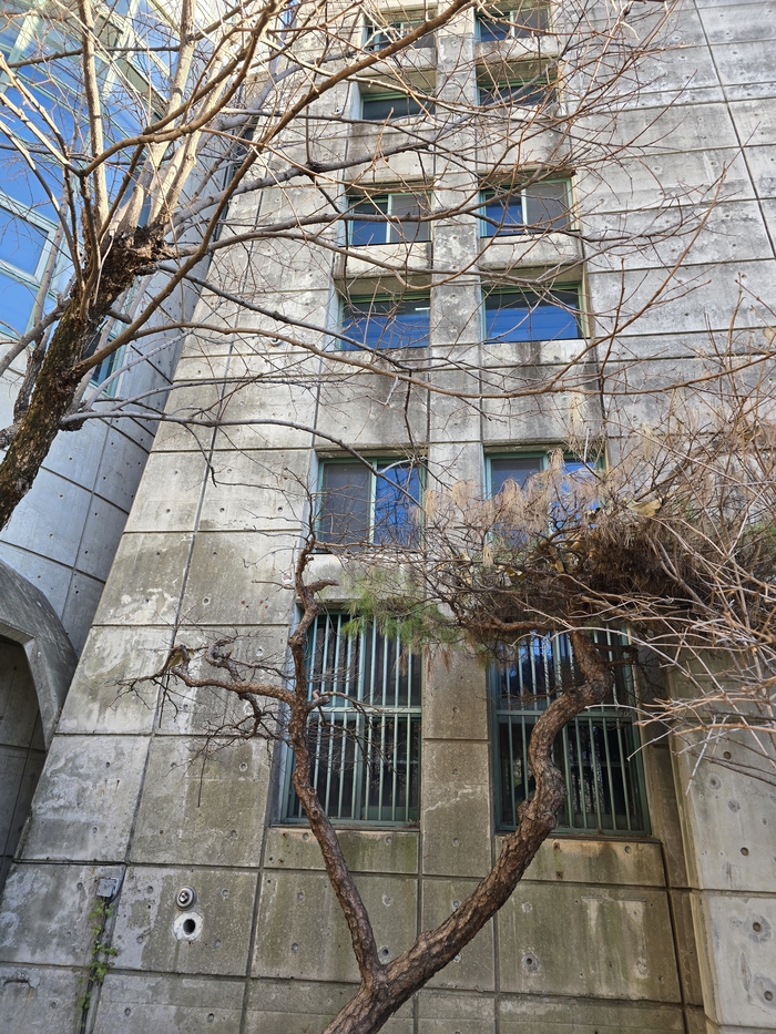 대구 상인동 가스폭발 참사 추모관인 세심관 벽면이 세월의 흔적을 드러내고 있다. 김현목 기자