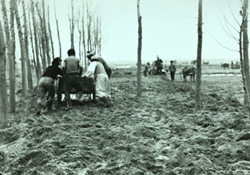 1950년대 대구시 달성군 하빈면 봉촌리 마을 정착 당시 모습. <하빈 PMZ 평화예술센터 제공>