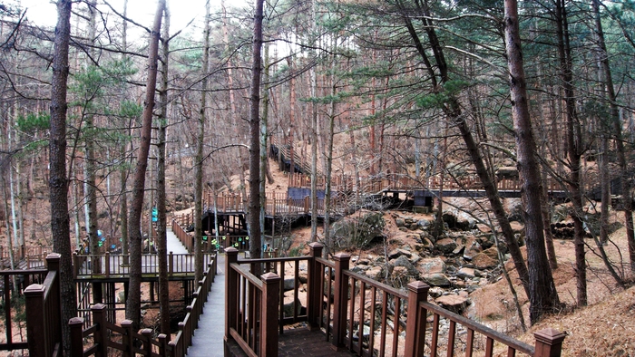 정견모주길은 천신의 길, 오색꽃수레길 등으로 이어져 있다. 잘 정돈된 데크길이 가야산 계곡의 쭉쭉 뻗은 소나무 사이를 구름 탄 듯 좌우로 돌아들고 높고 낮게 오르내린다.