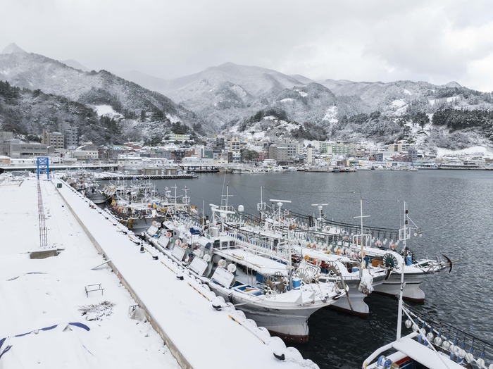 26일 새벽부터 오전 사이 울릉군에  많은 눈이 집중되면서 일부 지역에서는 최대 30cm 안팎의 적설이 기록됐다. 울릉 저동항 일대 전경. 울릉군 제공