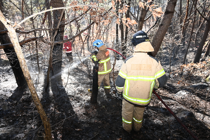 26일 오전 11시11분쯤 대구 군위군 소보면의 한 야산에서 산불이 발생했다. <대구소방본부 제공>
