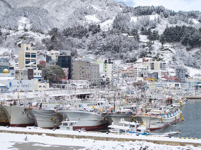 26일 새벽부터 오전 사이 울릉군에  많은 눈이 집중되면서 일부 지역에서는 최대 30cm 안팎의 적설이 기록됐다. 울릉 저동항 일대 전경. 울릉군 제공