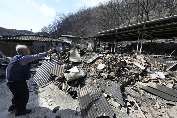 지난 3월 30일  안동시 일직면 국곡리 마을에 한 주민이 산불에 전소된 주택을 살펴보고 있다. <영남일보DB>