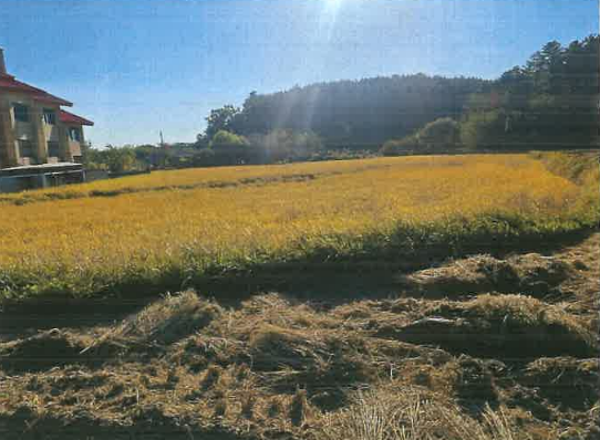 관리번호: 2025-15369-001