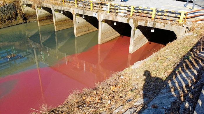 대구 서구 염색산업단지 인근 하수관거에서는 지난 1월 보랏빛 오수 유출을 시작으로 여러 차례 폐수유출이 확인됐다. 영남일보DB