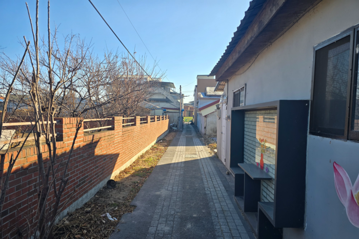 대구시 달성군 하빈면 봉촌리 마을 골목이 과거와 달리 정갈하게 정비된 모습. 김현목기자
