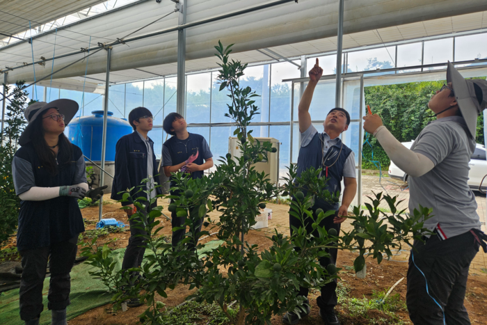 대구농업마이스터고 학생들이 농산업분야 창업연계교육을 받고 있다. <대구농업마이스터고 제공>