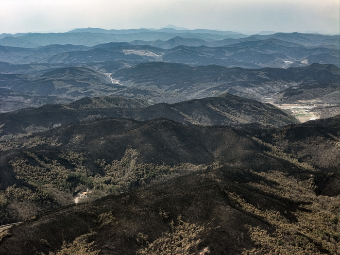 지난해 발생한 의성산불. 영남일보 DB