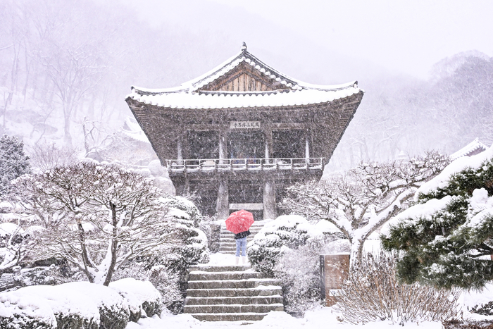 10일 경북 영주시 천년고찰 부석사에서 눈발이 흩날리는 가운데 한 방문객이 범종각 앞 계단에서 설경을 감상하고 있다. 대구지방기상청은 한파가 이어지다가 15일부터 기온이 오르며 포근한 날씨로 접어들 것으로 예보했다.
이현덕기자 lhd@yeongnam.com