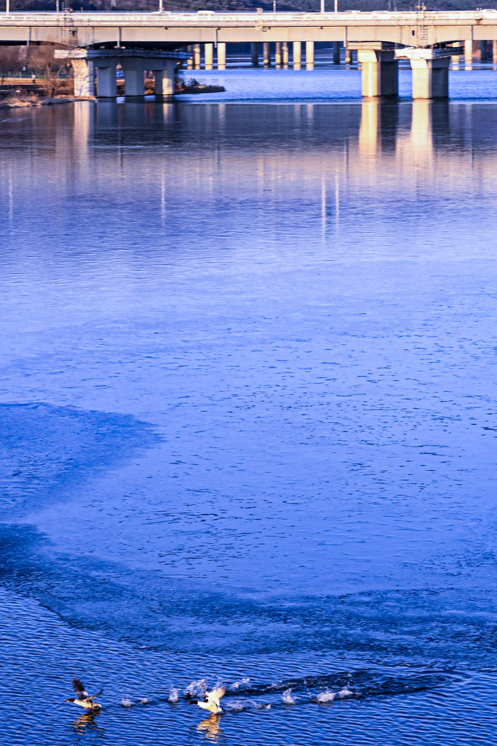 강추위가 이어진 24일 대구 북구 금호강 일부 구간이 얼어붙어 있다. 대구지방기상청은 추위가 다음 달 초까지 이어질 것으로 예보했다.
이현덕기자 lhd@yeongnam.com